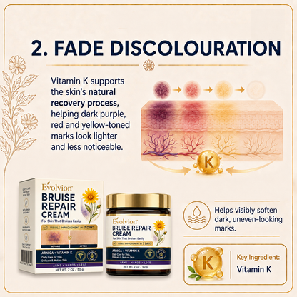 👩‍⚕️🌿Evolvion® Bruise Repair Cream-Advanced daily care for bruise-prone skin