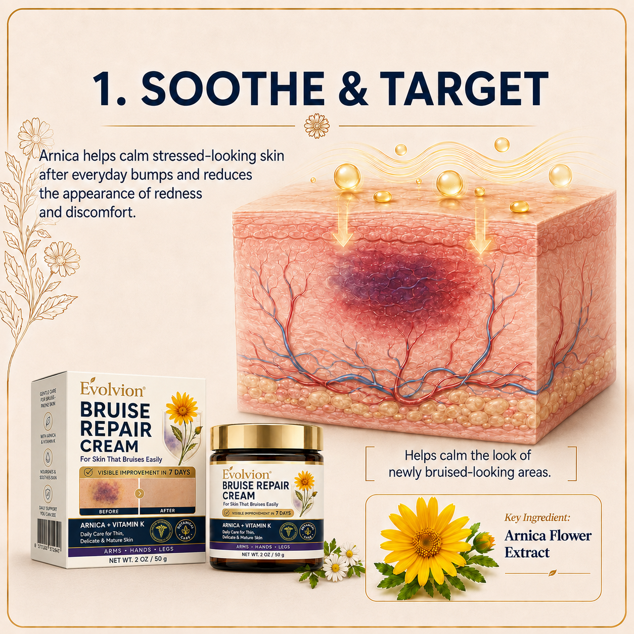 👩‍⚕️🌿Evolvion® Bruise Repair Cream-Advanced daily care for bruise-prone skin